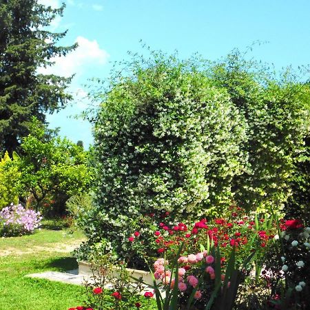 فيلا Olga'S Hill بيراما المظهر الخارجي الصورة