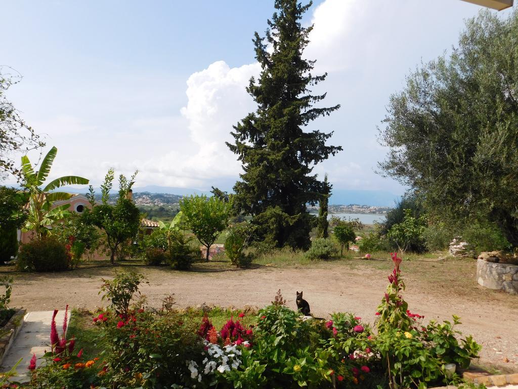 فيلا Olga'S Hill بيراما المظهر الخارجي الصورة