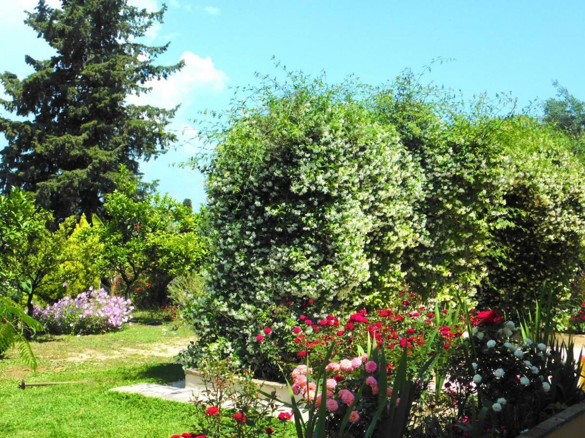 فيلا Olga'S Hill بيراما المظهر الخارجي الصورة