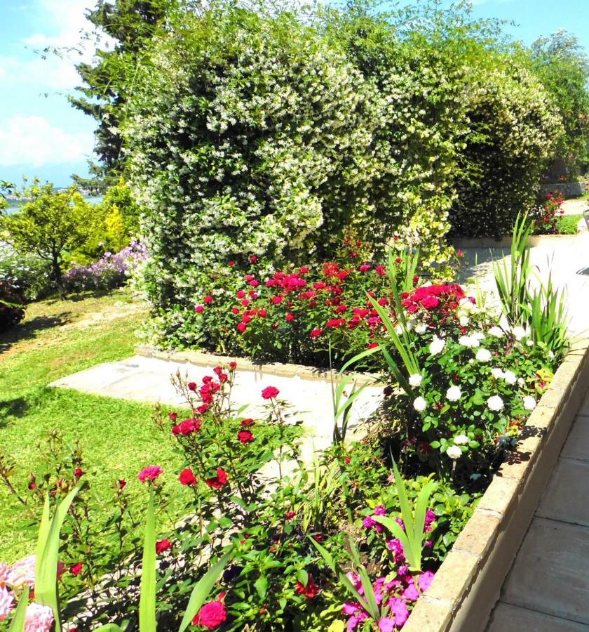 فيلا Olga'S Hill بيراما المظهر الخارجي الصورة